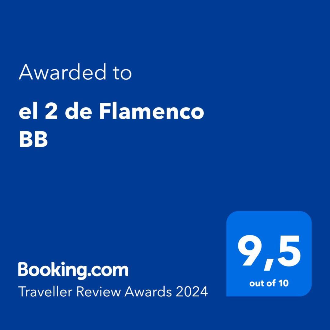 شقة El 2 De Flamenco Bajob كاديز المظهر الخارجي الصورة